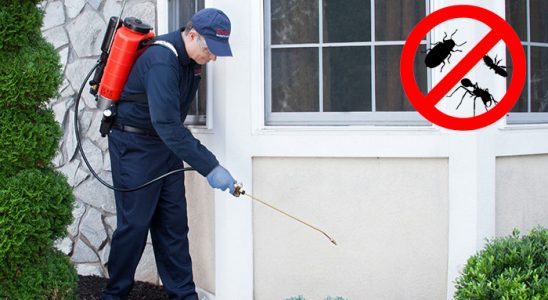 Orta Kene İlaçlama böcek ilaçlama ve haşere kontrolü — ilaclama-tr.com